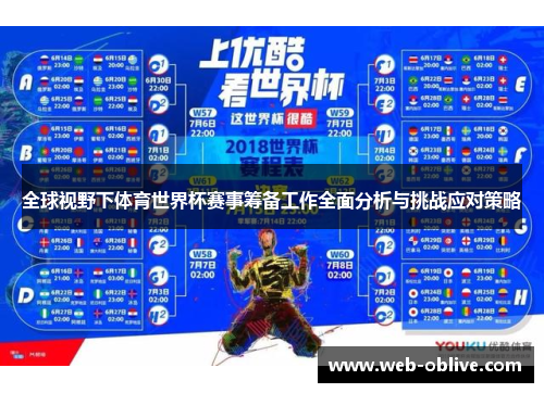 全球视野下体育世界杯赛事筹备工作全面分析与挑战应对策略