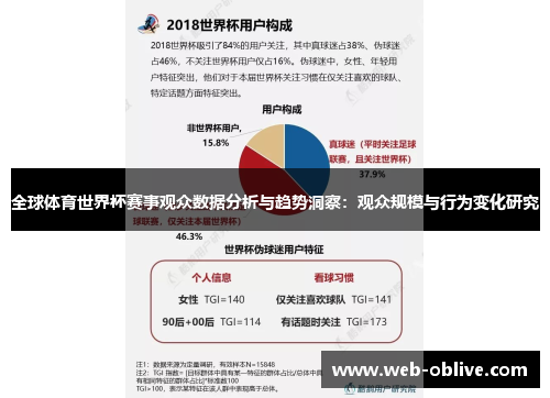 全球体育世界杯赛事观众数据分析与趋势洞察：观众规模与行为变化研究
