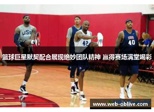 篮球巨星默契配合展现绝妙团队精神 赢得赛场满堂喝彩