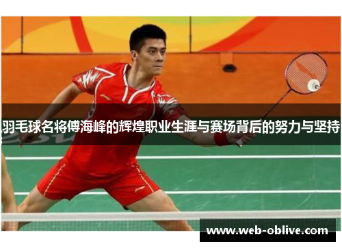 羽毛球名将傅海峰的辉煌职业生涯与赛场背后的努力与坚持