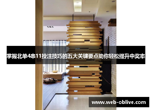 掌握北单4串11投注技巧的五大关键要点助你轻松提升中奖率